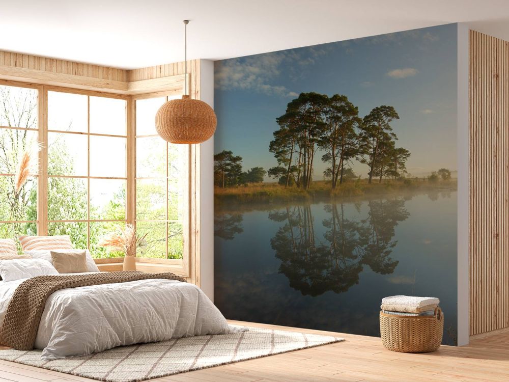Weerspiegeling in heidegebied