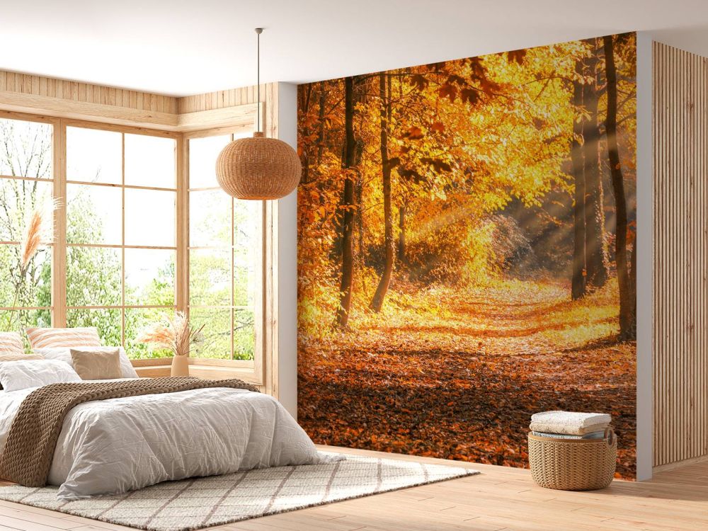 Panorama in de herfst