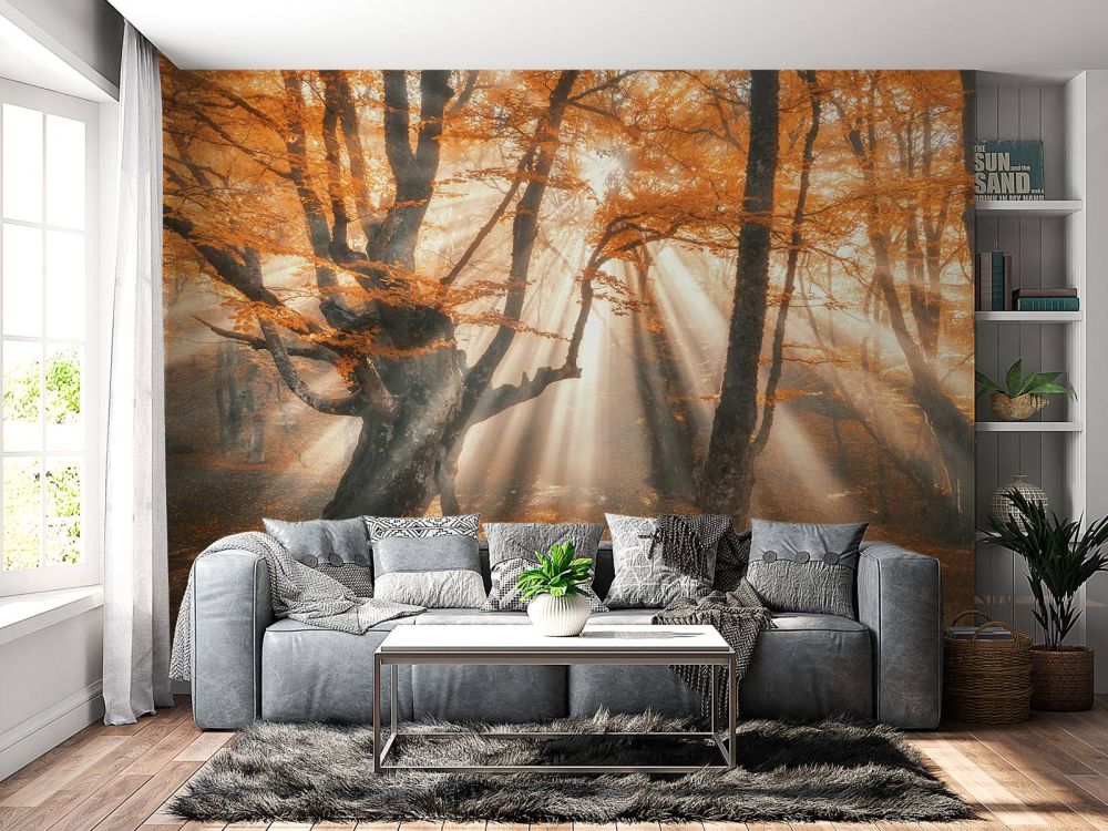 Magisch herfstbos