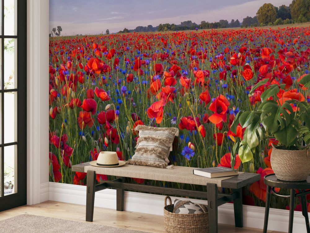 Blauwe bloemen en rode Klaprozen