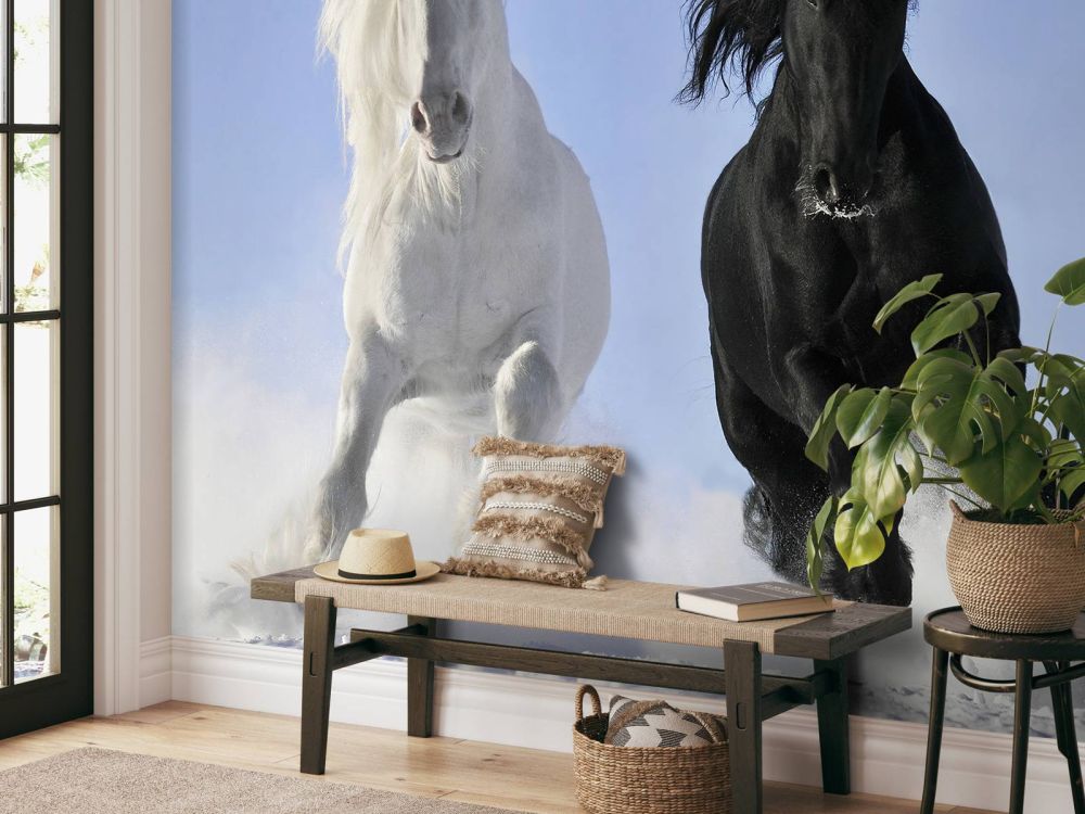 Wit en een zwart paard