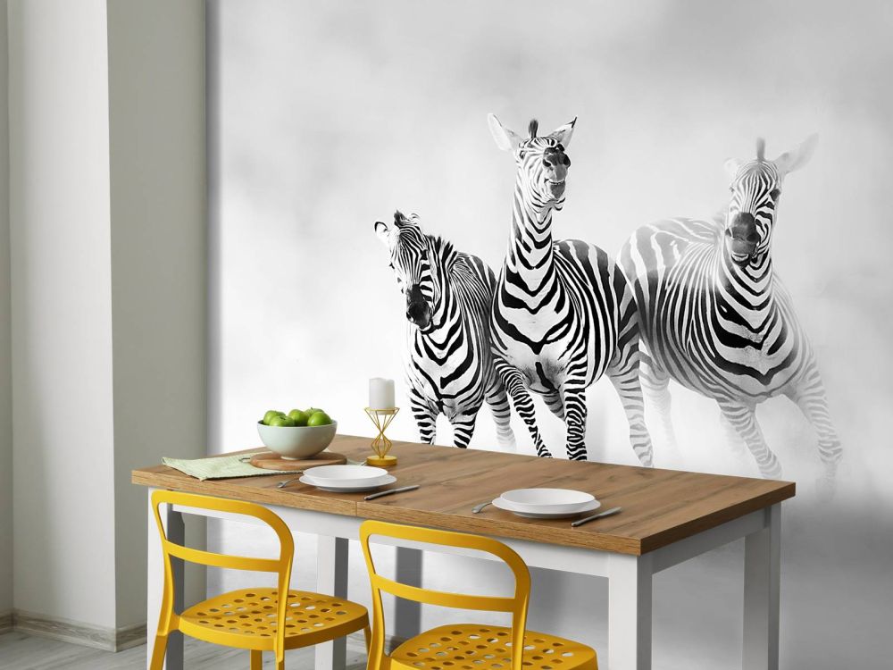 Zebras