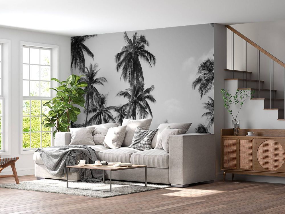 Palmbomen in zwart-wit