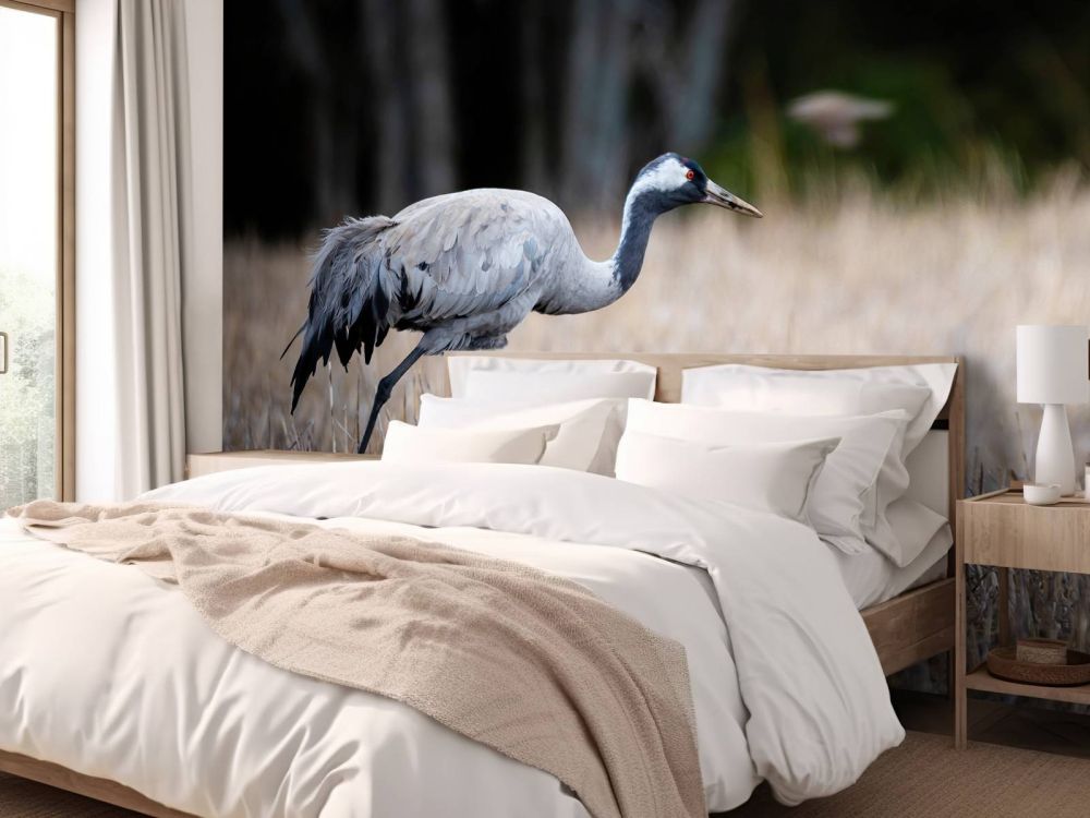 Lopende kraanvogel