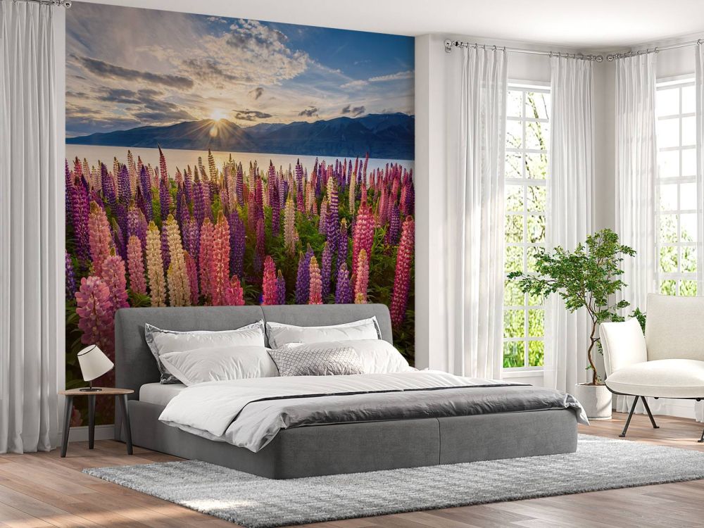 Lupins lakeside
