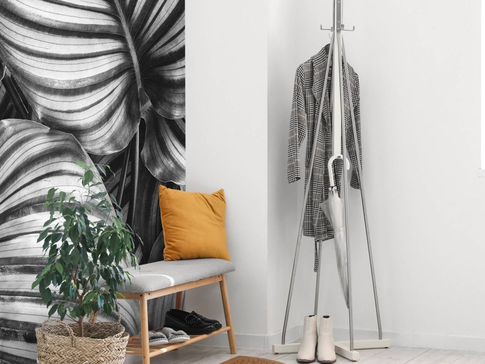 Plant met gestreepte bladeren