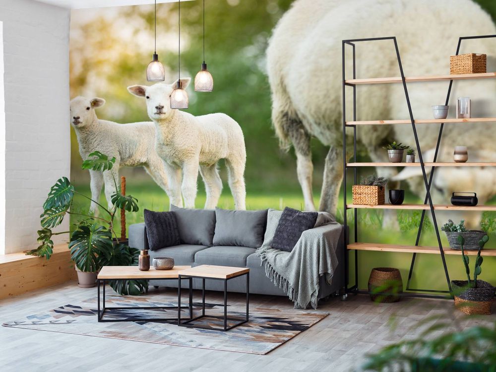 Moeder schaap met lammetjes