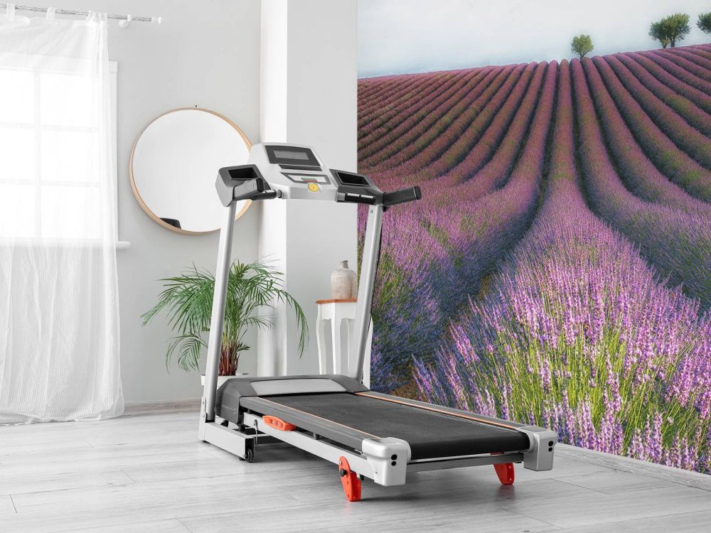 Velours de Lavender