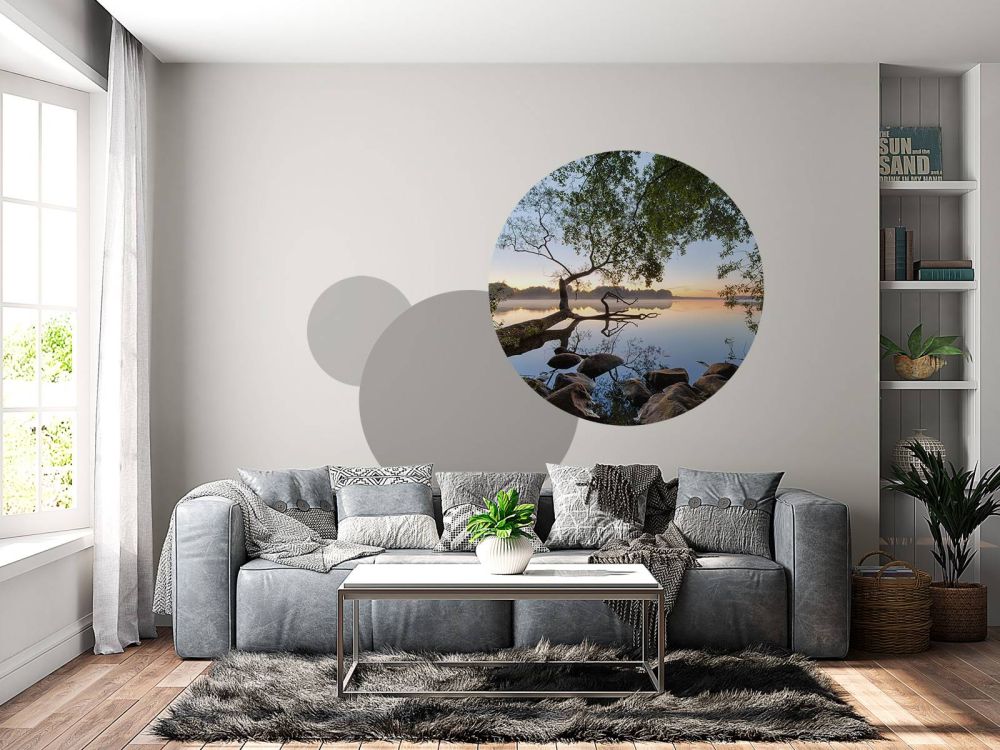 Lake view