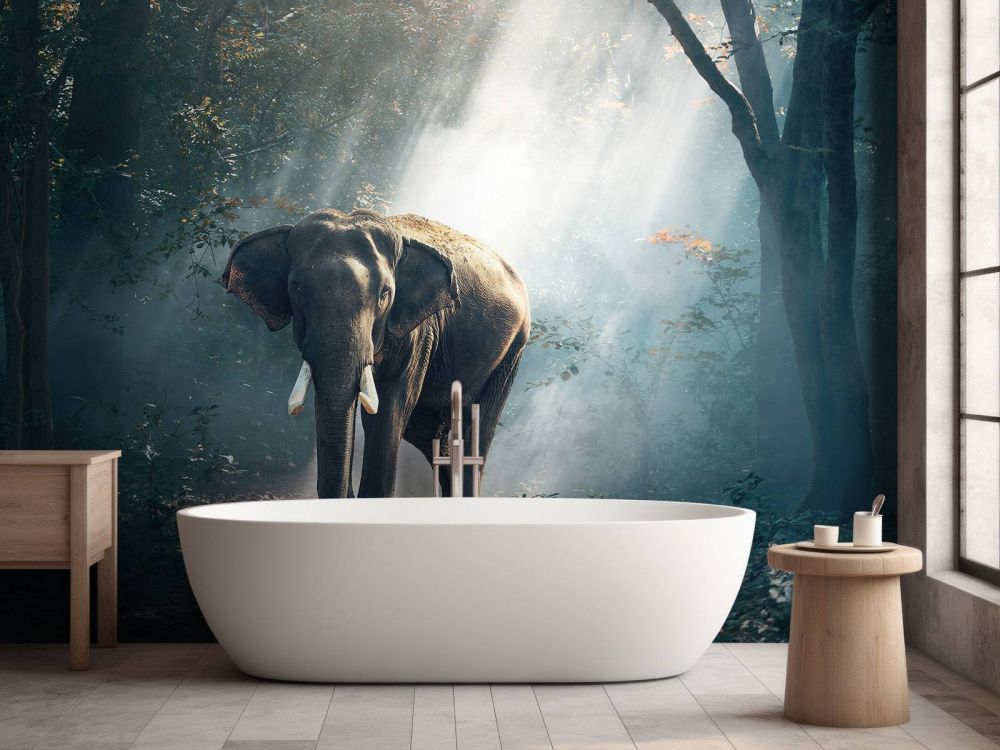 Olifant in een jungle
