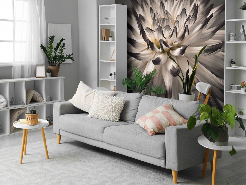 Dahlia bloem zwart wit