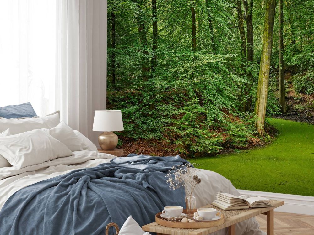Beekje met kroos in het bos
