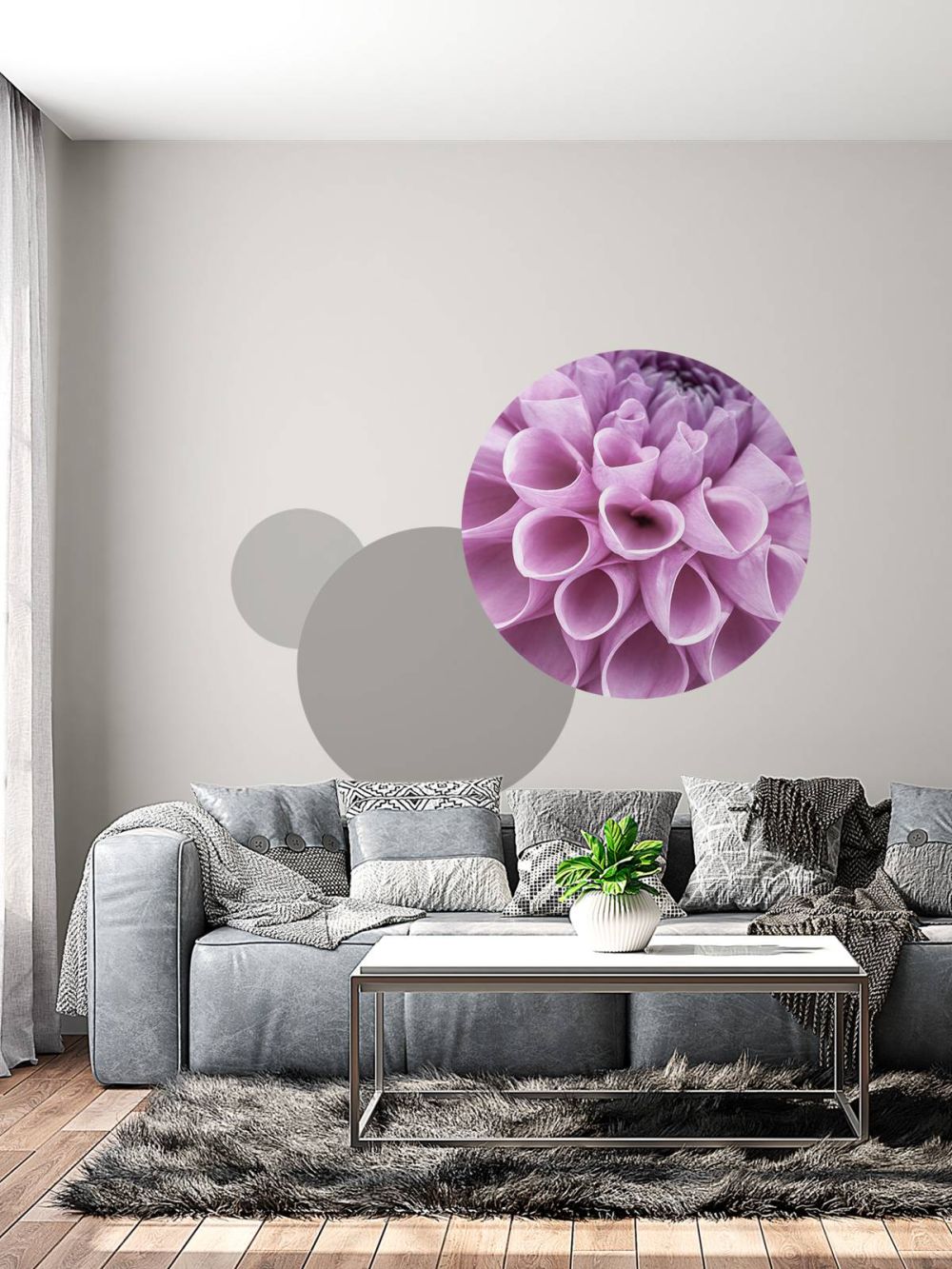 Paarse dahlia