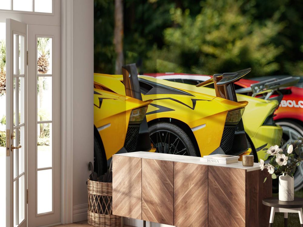 Supercar collectie iIn natuur
