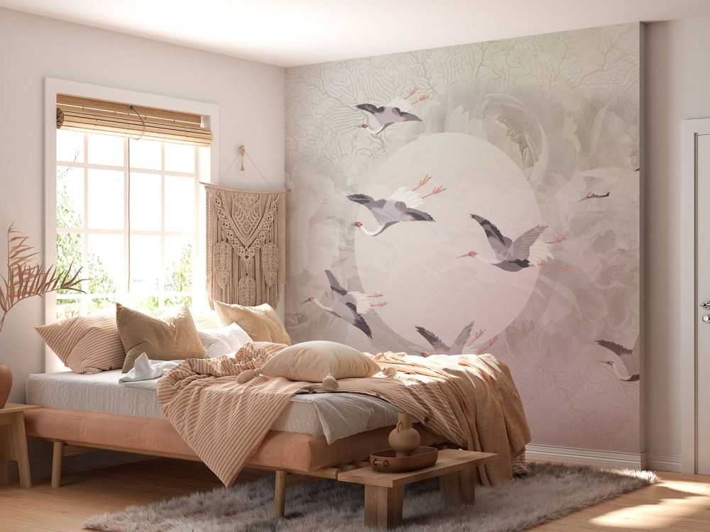 Serenity 6