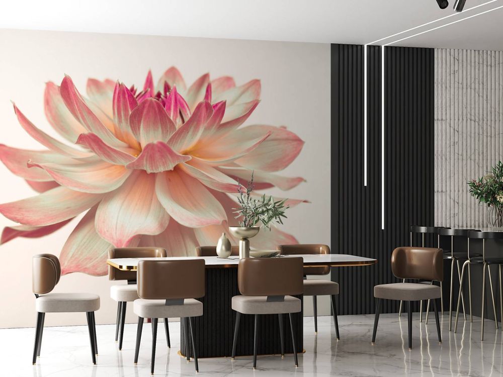 Dahlia bloem