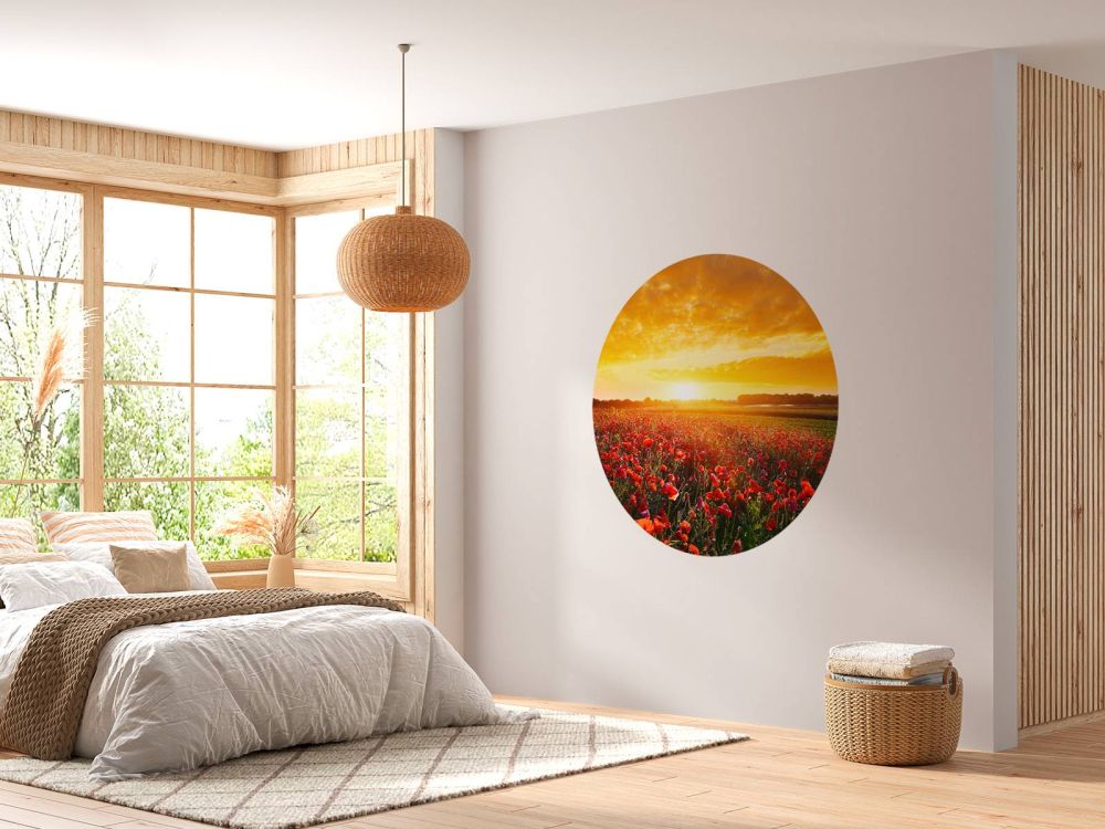 Klaprozen en zonsondergang