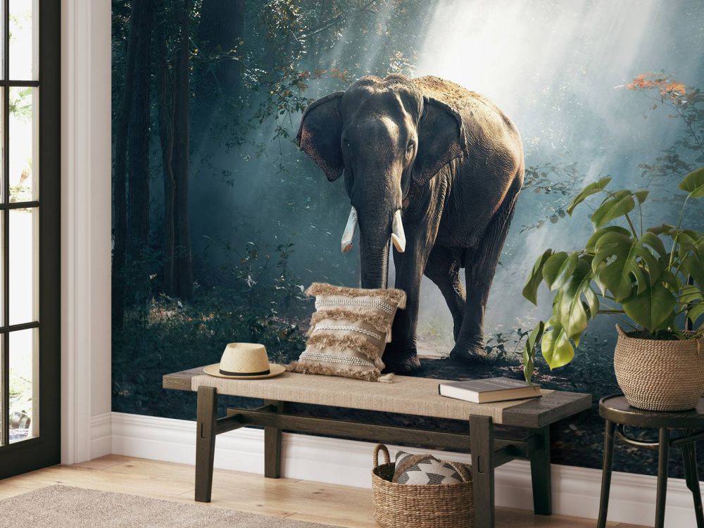 Olifant in een jungle