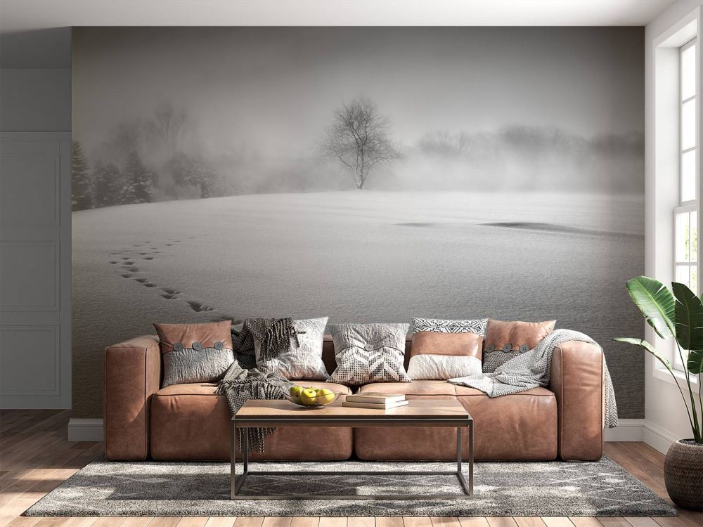 Winter scenery