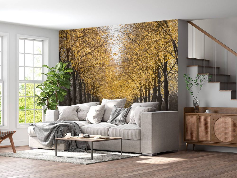 Pad door de bomen