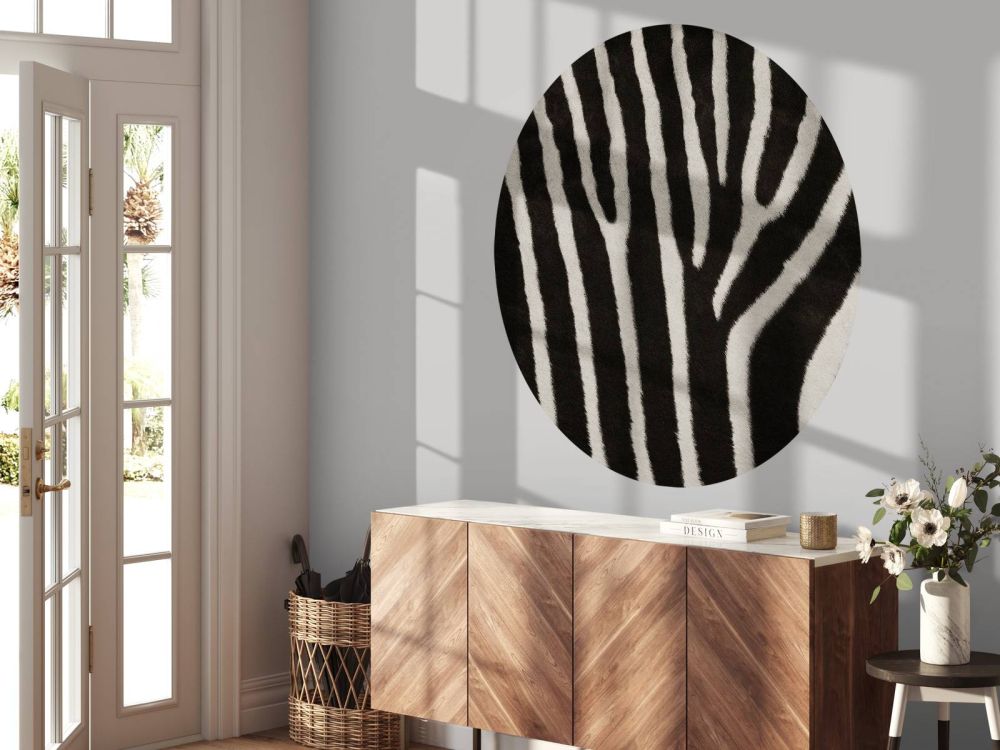 Zebra vacht