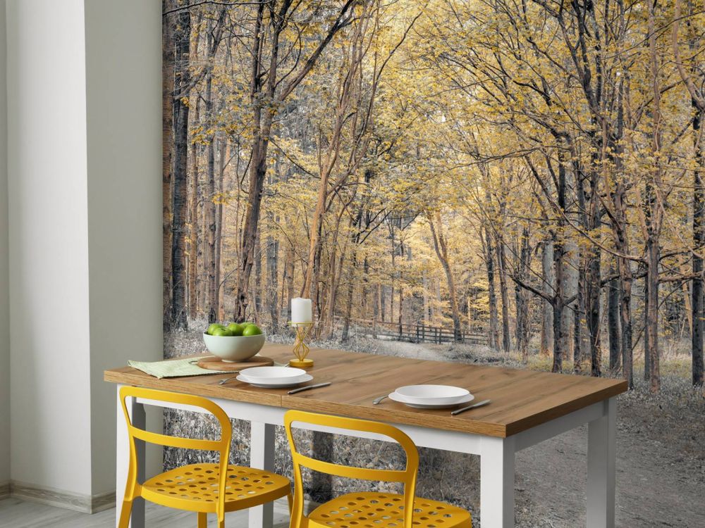 Bosweg tijdens de herfst