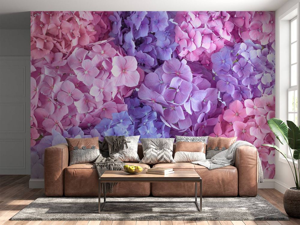 Kleurrijke hortensia's