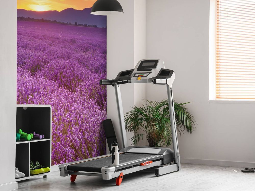 Veld vol lavendel