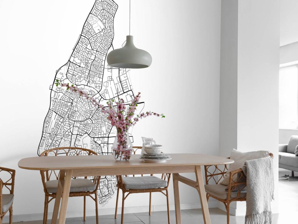 Plattegrond van Haarlem, wit