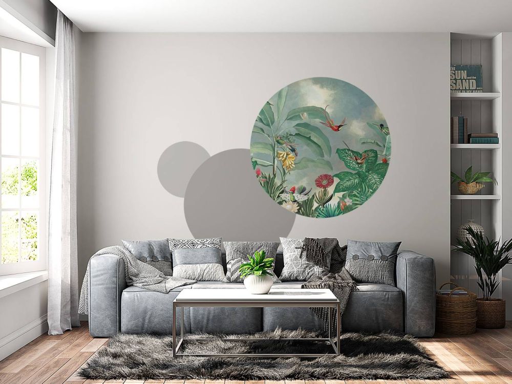 Hummingbird Paradise