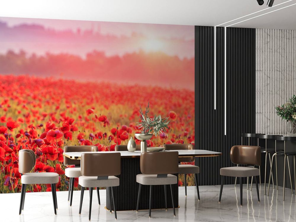 Veld vol klaprozen