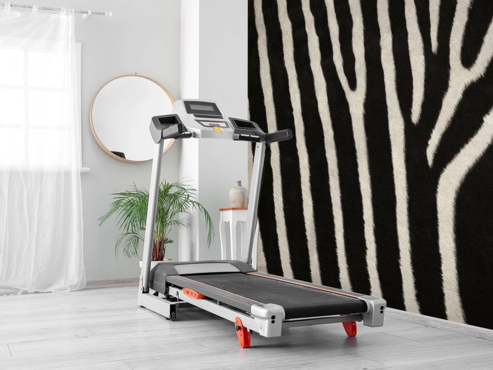 Zebra vacht