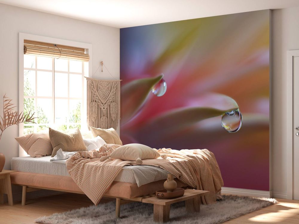 Sound Of Colors...