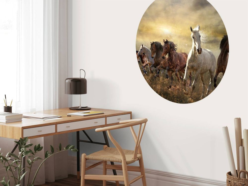 Galopperende paarden bij zonsondergang