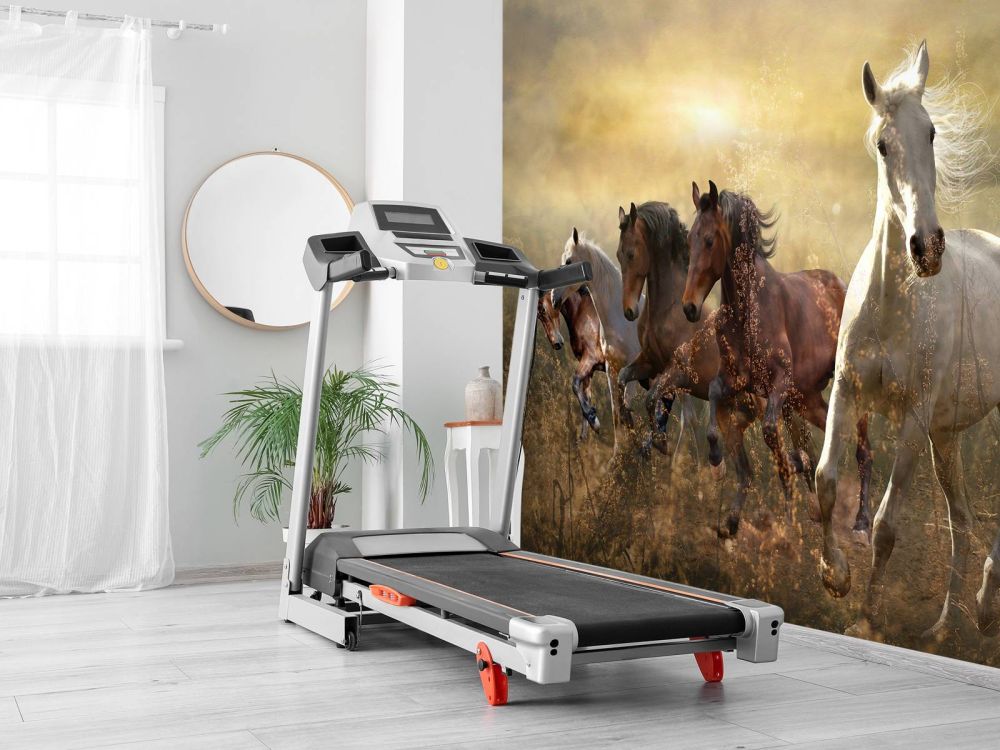 Galopperende paarden bij zonsondergang