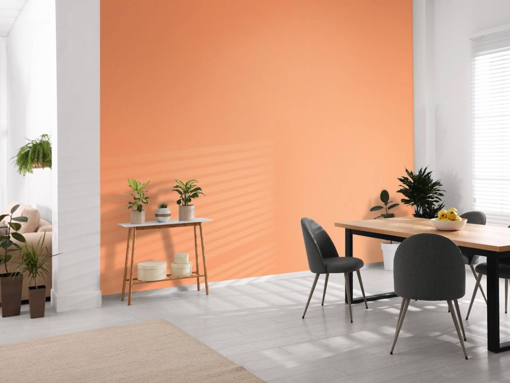 Roze oranje