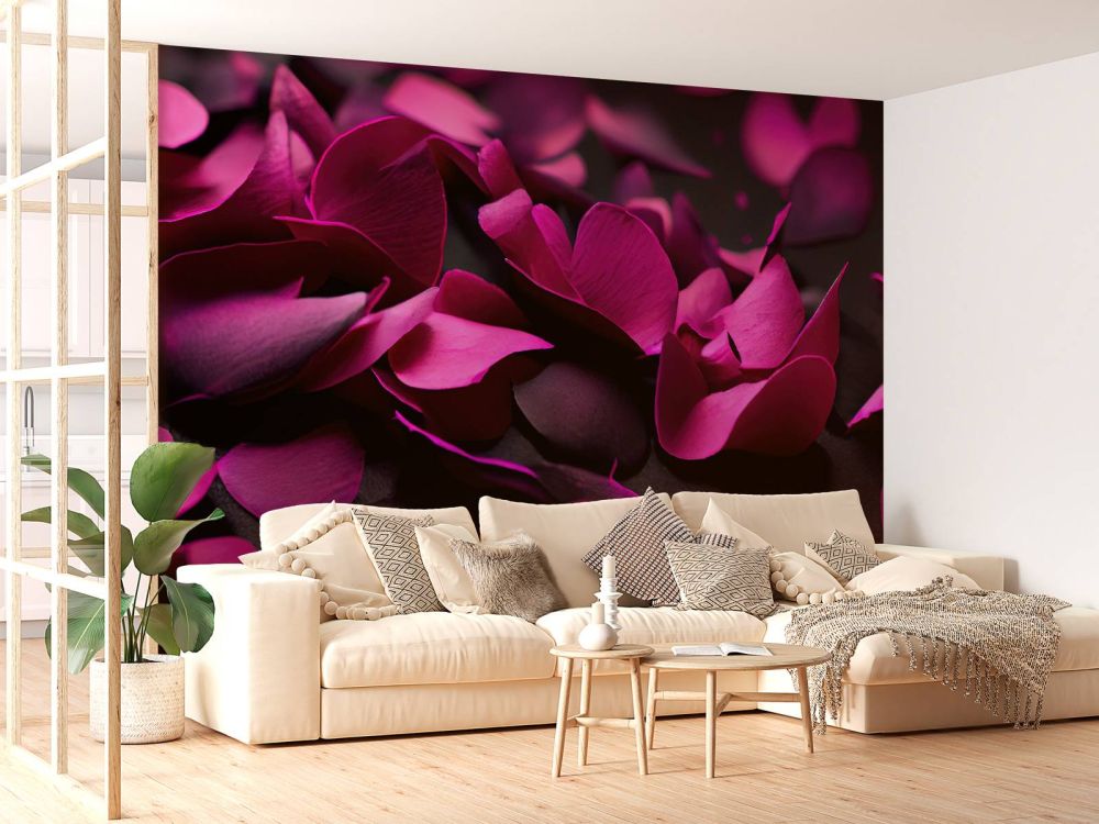 Donker roze hortensia's