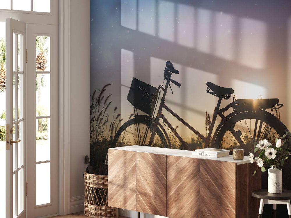 Silhouette fiets