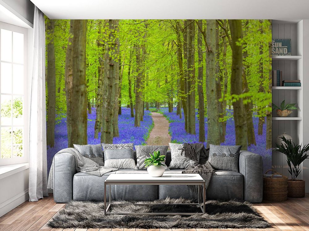 Bluebell path