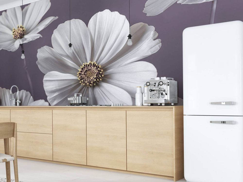 Cosmos bloemen