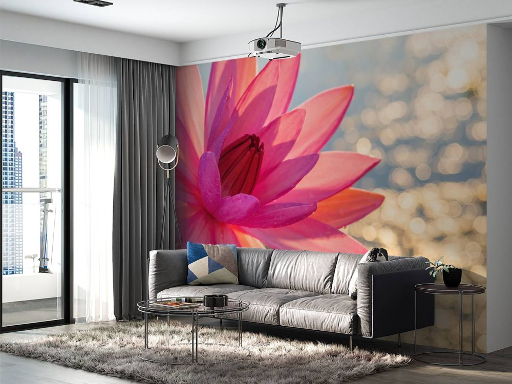 Lotusbloem op water