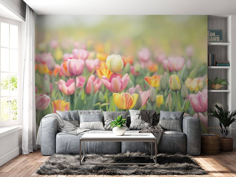 Kleurrijke tulpen