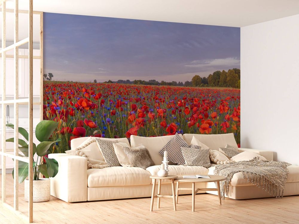 Blauwe bloemen en rode Klaprozen