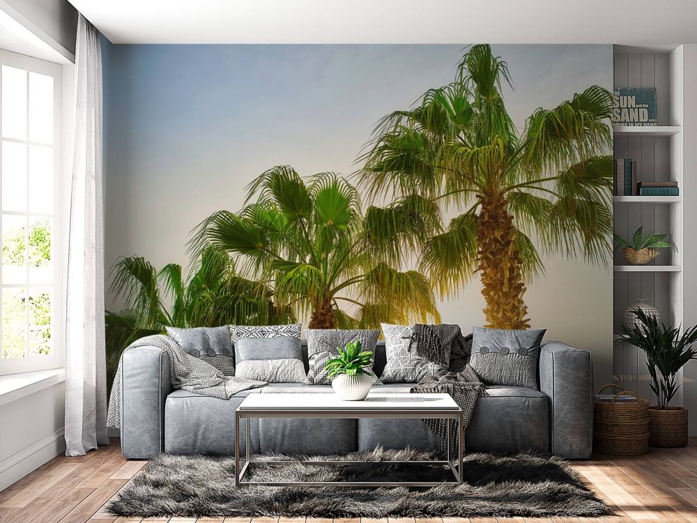 Palmbomen met zon