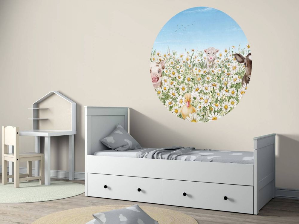 Farm Animals