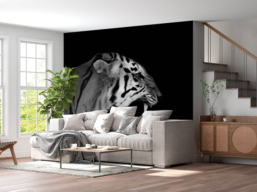 Roaring tiger black