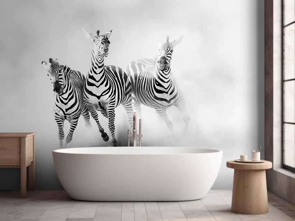 Zebras