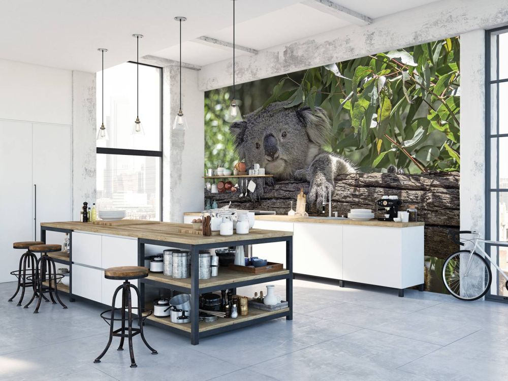 Schattige koala