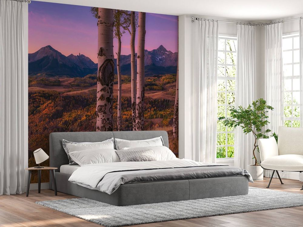 Aspen Frames