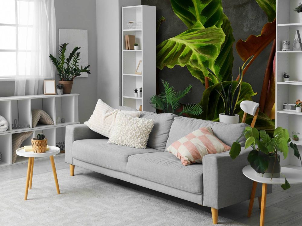 Plant met mooie groene bladeren